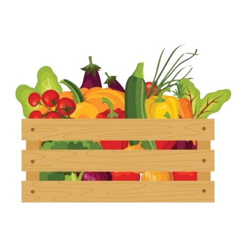 Pizzas préparées avec des ingrédients frais et de qualité à Nanterre